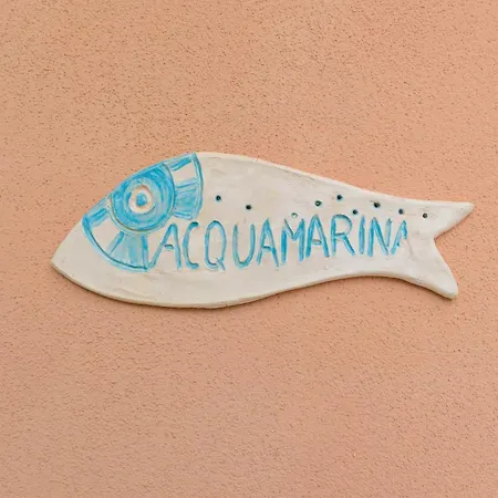 Corallo Vila San Vincenzo