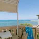 Corallo San Vincenzo