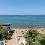 Corallo San Vincenzo